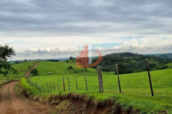 FAZENDA COM DUPLA APTIDÃO, 210 ALQUEIRES, REGIÃO CENTRO SUL DO PARANÁ - Foto 19