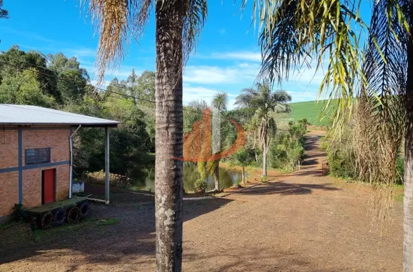 CHÁCARA COM 20 MIL m² Á VENDA EM PATO BRANCO/PR - Foto 36