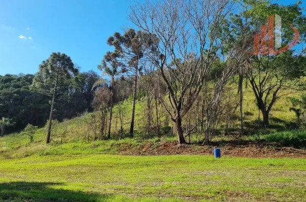 CHACARA PARA VENDA EM PATO BRANCO 