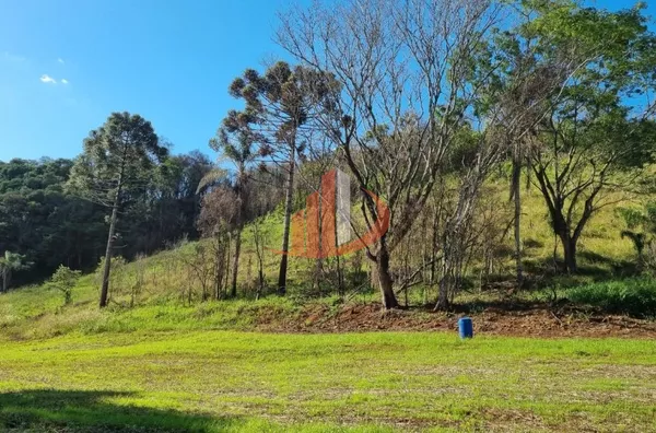 CHACARA PARA VENDA EM PATO BRANCO 