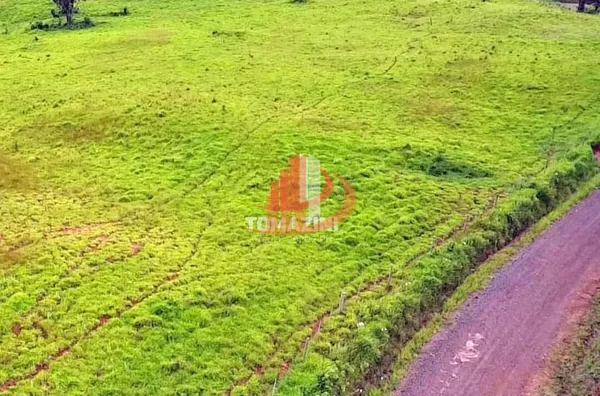 VENDE-SE FAZENDA PRÓXIMO A NOVA LARANJEIRAS! - Foto 6