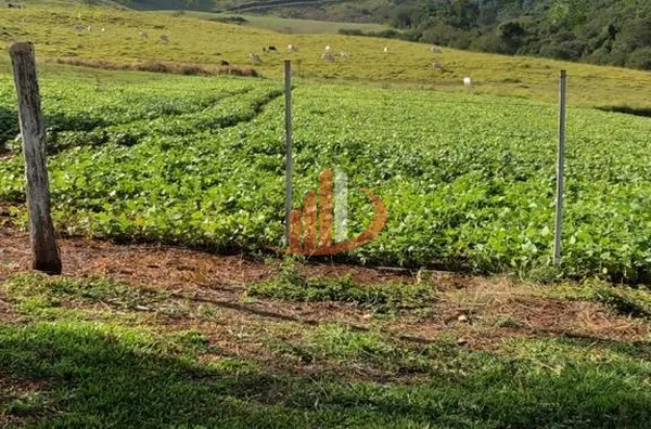FAZENDA 211,19 ALQUEIRES EM LARANJEIRAS DO SUL/PR - Foto 18
