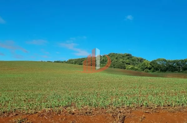 FAZENDA PRA VENDA NO SUDOESTE DO PARANÁ - Foto 3