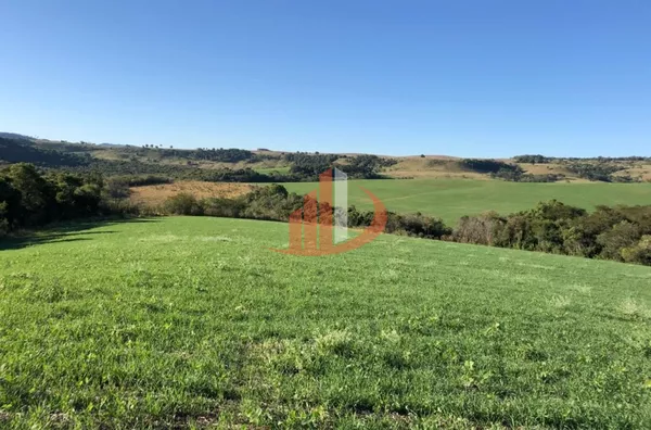 FAZENDA 211,19 ALQUEIRES EM LARANJEIRAS DO SUL/PR - Foto 12