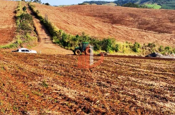 VENDE-SE UMA BELÍSSIMA ÁREA DE TERRA EM NOVA LARANJEIRAS! - Foto 6