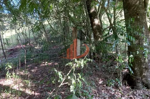 CHÁCARA COM 2,5 ALQUEIRES À VENDA EM VITORINO/PR - Foto 46
