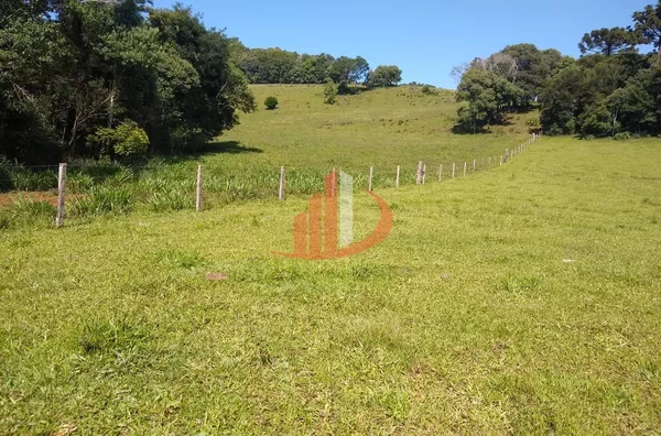 FAZENDA COM 24 ALQUEIRES EM PATO BRANCO/PR - Foto 2
