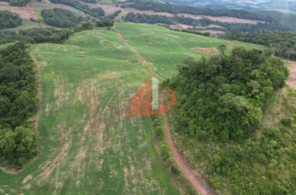 VENDE-SE PROPRIEDADE RURAL Á 18KM DA CIDADE DE PATO BRANCO! - Foto 3