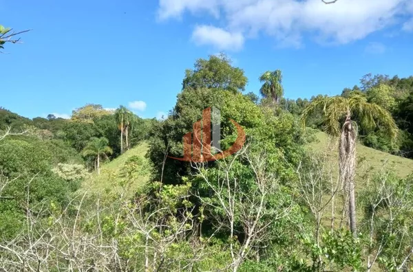 CHÁCARA COM 2,5 ALQUEIRES À VENDA EM VITORINO/PR - Foto 40