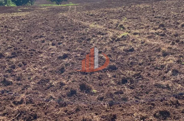 VENDE-SE FAZENDA A 13KM DA CIDADE DE GUARANIAÇU! - Foto 26