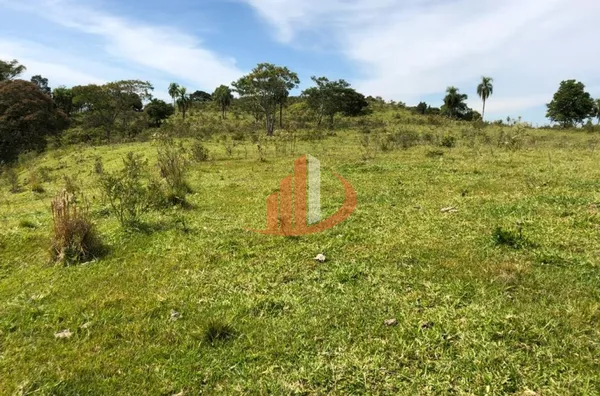 FAZENDA 211,19 ALQUEIRES EM LARANJEIRAS DO SUL/PR - Foto 8