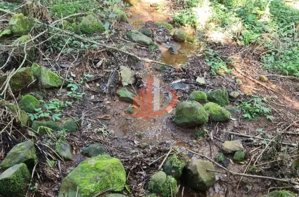 CHACARA PARA VENDA EM PATO BRANCO - Foto 9