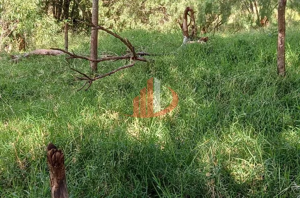 CHÁCARA COM 2,5 ALQUEIRES À VENDA EM VITORINO/PR - Foto 48