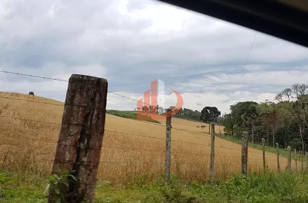 FAZENDA COM 203,5 ALQUEIRES À VENDA NO SUDOESTE DO PARANÁ. - Foto 19