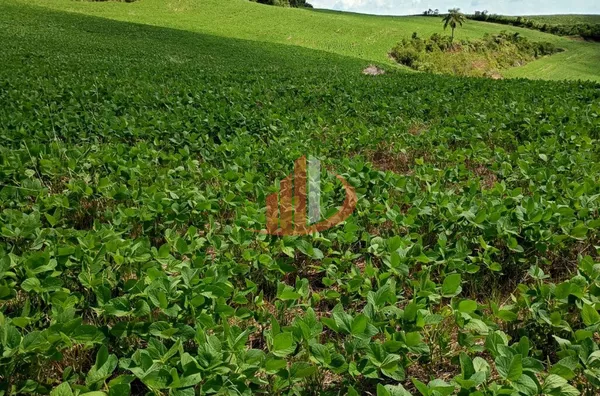 FAZENDINHA A VENDA PRÓXIMA A PATO BRANCO/PR - Foto 4