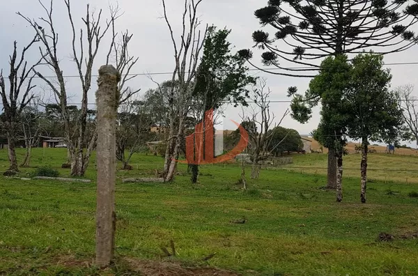 FAZENDA COM 203,5 ALQUEIRES À VENDA NO SUDOESTE DO PARANÁ. - Foto 23