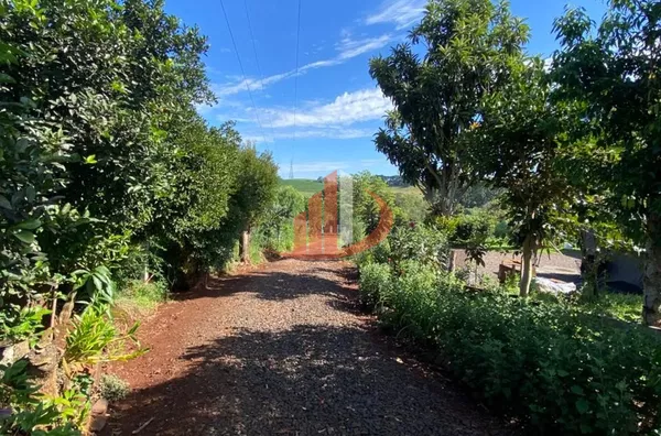 CHÁCARA A VENDA NA FAZENDA DA BARRA PRÓXIMO AO CENTRO DE PATO BRANCO/PR - Foto 11