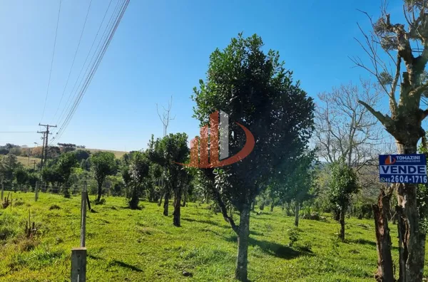 CHÁCARA COM 5 HECTARES PRÓXIMO A PATO BRANCO - Foto 31
