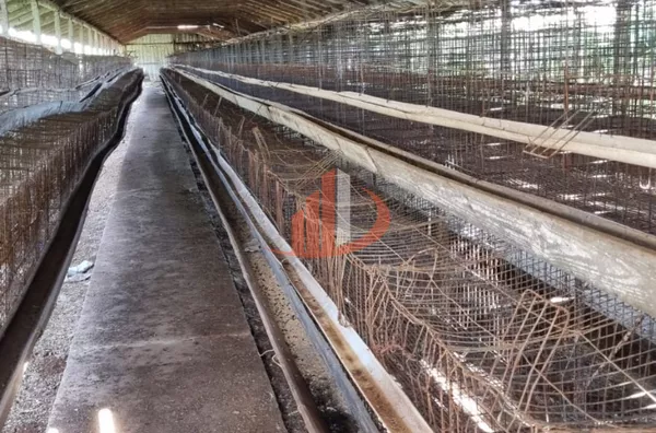 CHÁCARA COM 20 MIL m² Á VENDA EM PATO BRANCO/PR - Foto 43