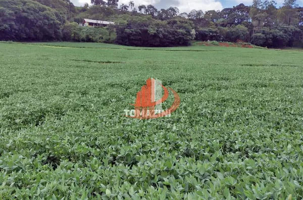 Área rural para venda, Francisco Beltrão, com granja - Foto 9
