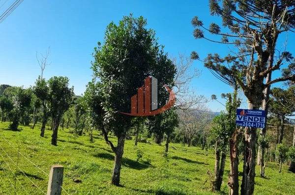 CHÁCARA COM 5 HECTARES PRÓXIMO A PATO BRANCO - Foto 28