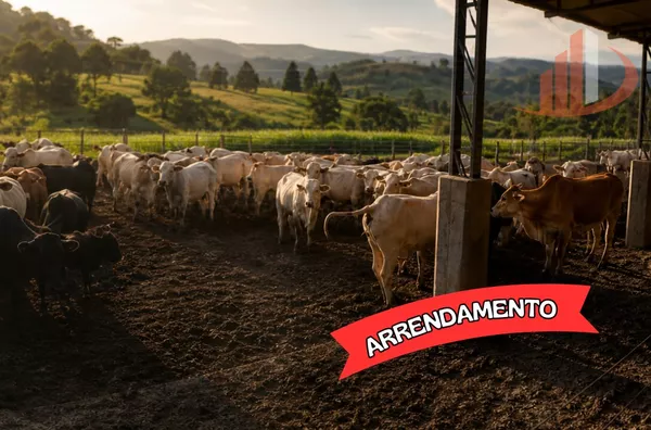 CONFINAMENTO E ÁREA AGRÍCULA PARA ARRENDAMENTO 
