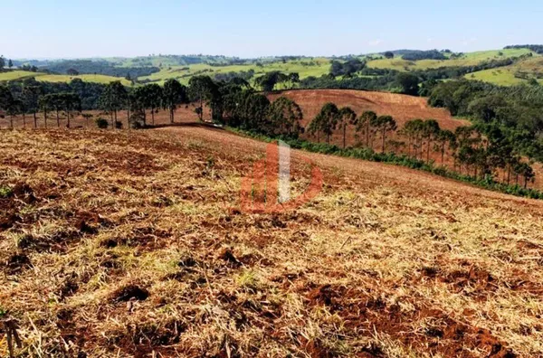 VENDE-SE UMA BELÍSSIMA ÁREA DE TERRA EM NOVA LARANJEIRAS! - Foto 9