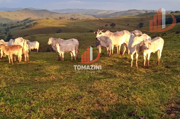 Imóveis rurais para venda,  - Selecione - Bairro, Nova Laranjeiras