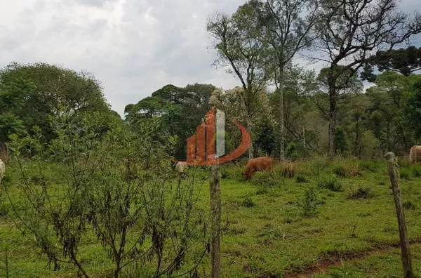 FAZENDA 200 ALQUEIRES REGIÃO SUDOESTE DO PARANÁ - Foto 11