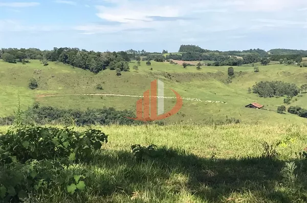 FAZENDA COM 1.234,62 HECTARES DE ALTA RENTABILIDADE! - Foto 7