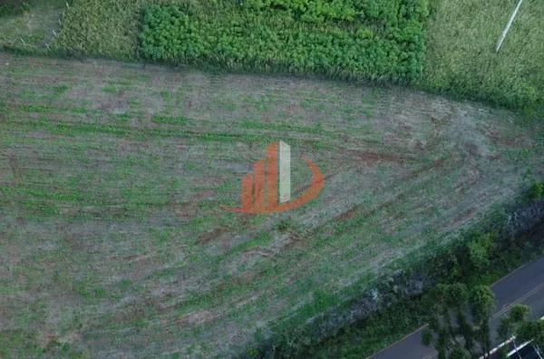 CHÁCARA COM 20.000m² HÁ APENAS 5KM DE PATO BRANCO/PR - Foto 4