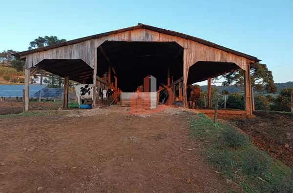 FAZENDA COM 16 ALQUEIRES EM MARMELEIRO/PR - Foto 6