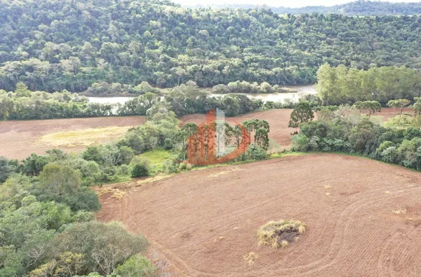 FAZENDA PRÓXIMA A PATO BRANCO PARA VENDA - Foto 6