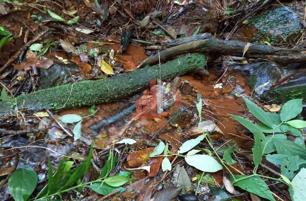 CHÁCARA COM 2,5 ALQUEIRES À VENDA EM VITORINO/PR - Foto 27