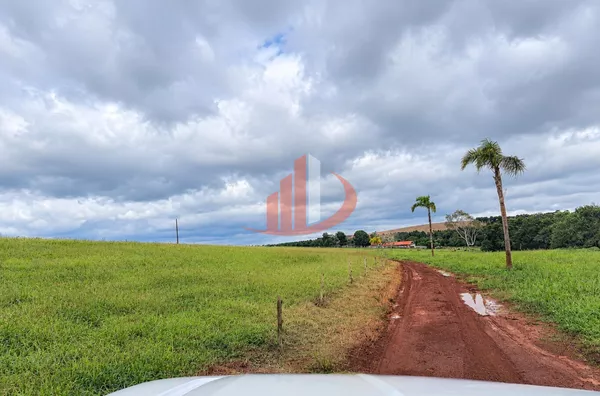 FAZENDA MODELO — OESTE DO PARANÁ - Foto 5