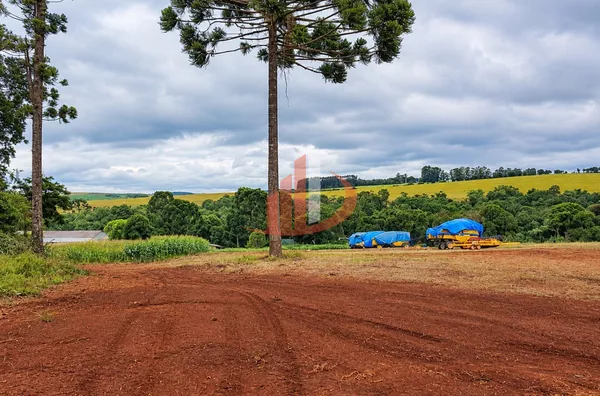 FAZENDA MODELO — OESTE DO PARANÁ - Foto 7