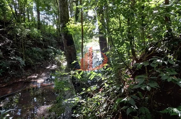 CHÁCARA COM 2,5 ALQUEIRES À VENDA EM VITORINO/PR - Foto 28