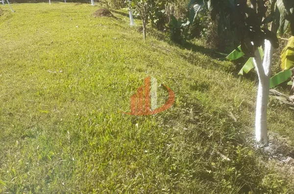 Imóveis rurais para venda, , São Lourenço Do Oeste - Foto 20