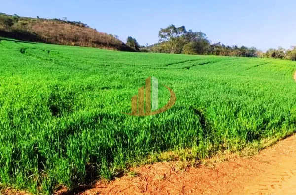 VENDE-SE PROPRIEDADE RURAL Á 18KM DA CIDADE DE PATO BRANCO! - Foto 11