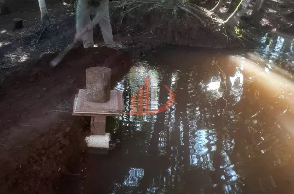 Imóveis rurais para venda, , São Lourenço Do Oeste - Foto 13
