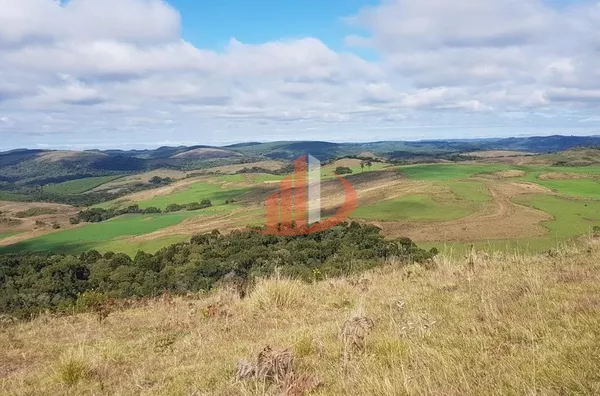 ARRENDAMENTO DE FAZENDA COM 323 ALQUEIRES EM SANTA CATARINA - Foto 14