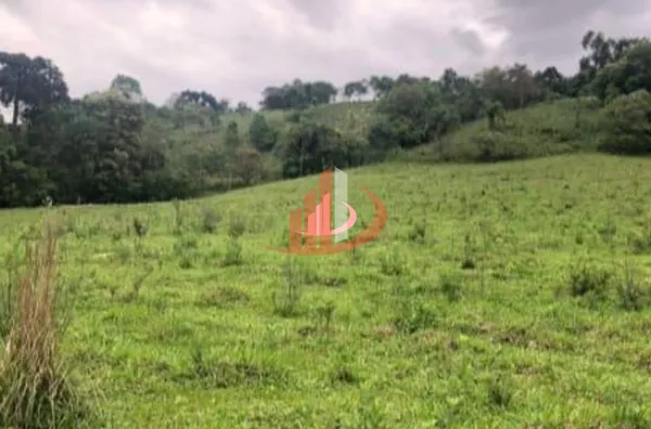 Chácara para venda, - Selecione - Bairro, Pato Branco - Foto 4
