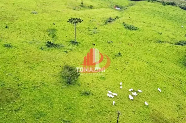 VENDE-SE FAZENDA PRÓXIMO A NOVA LARANJEIRAS!