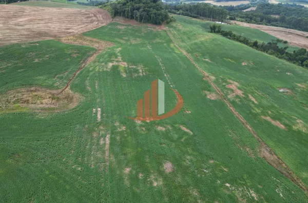 VENDE-SE PROPRIEDADE RURAL Á 18KM DA CIDADE DE PATO BRANCO! - Foto 2