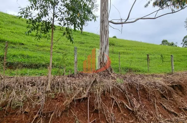 FAZENDA COM DUPLA APTIDÃO, 210 ALQUEIRES, REGIÃO CENTRO SUL DO PARANÁ - Foto 11