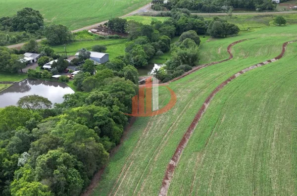 CHÁCARA DE 28 MIL m² À VENDA EM PATO BRANCO/PR - Foto 14