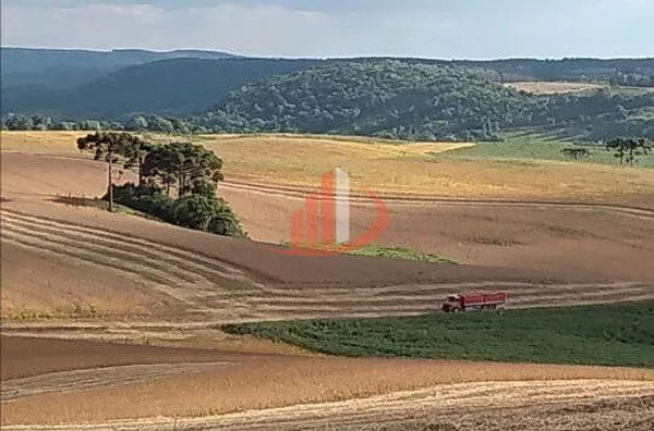 FAZENDA EM PALMAS NO PARANÁ - Foto 6