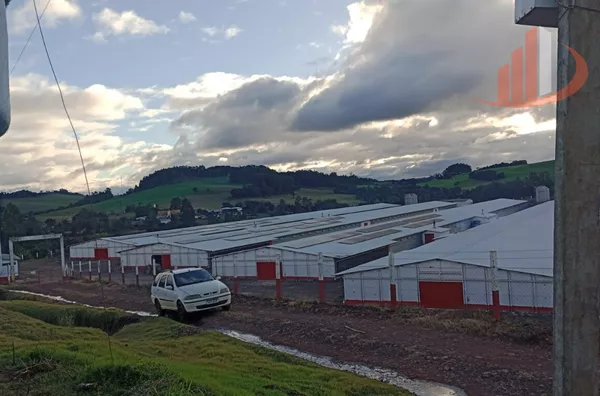 AVIÁRIOS PARA VENDA NA REGIÃO SUDOESTE DO PARANÁ 