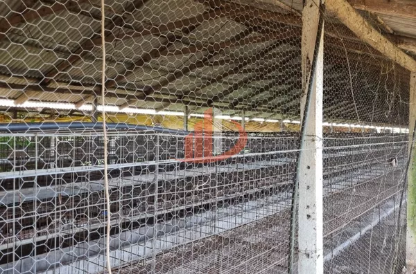 CHÁCARA COM 20 MIL m² Á VENDA EM PATO BRANCO/PR - Foto 40