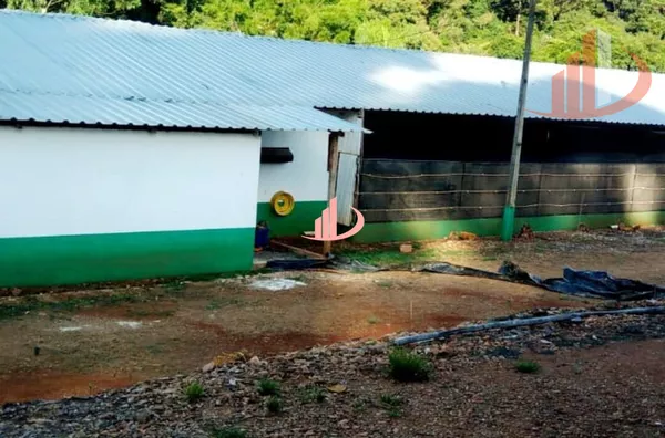 Aviário para venda,  - Selecione - Bairro, Pato Branco